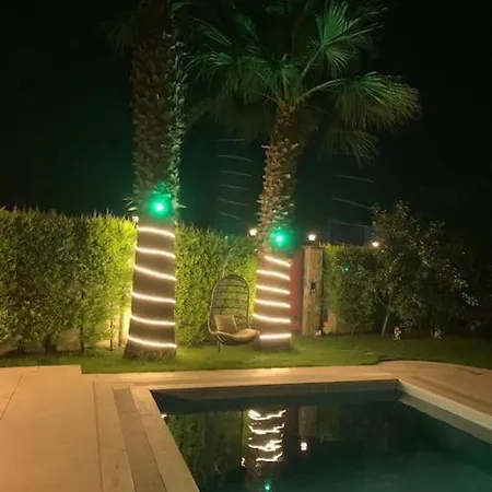 Bodrum De Denize 250 M Lux Havuzlu Villa