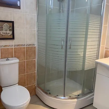 Villa Bodrum De Denize 250 M Lux Havuzlu Turgutreis