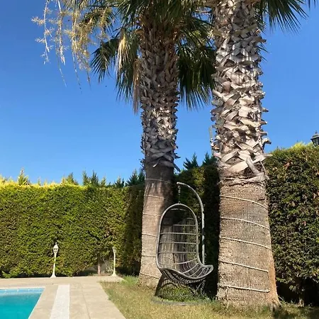 Bodrum De Denize 250 M Lux Havuzlu 터그트레이스